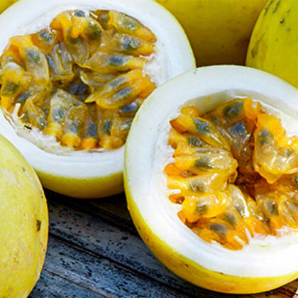 פסיפלורה צהובה 