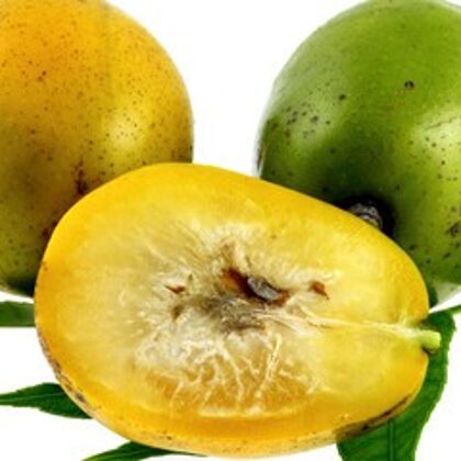 אמברלה מתוקה 