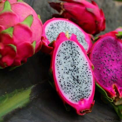 פיטאיה/דרגון פרוט